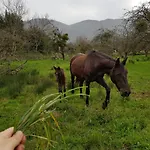 Amaicha Rural Hotel