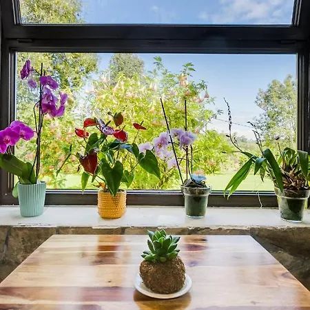 酒店 Amaicha Rural